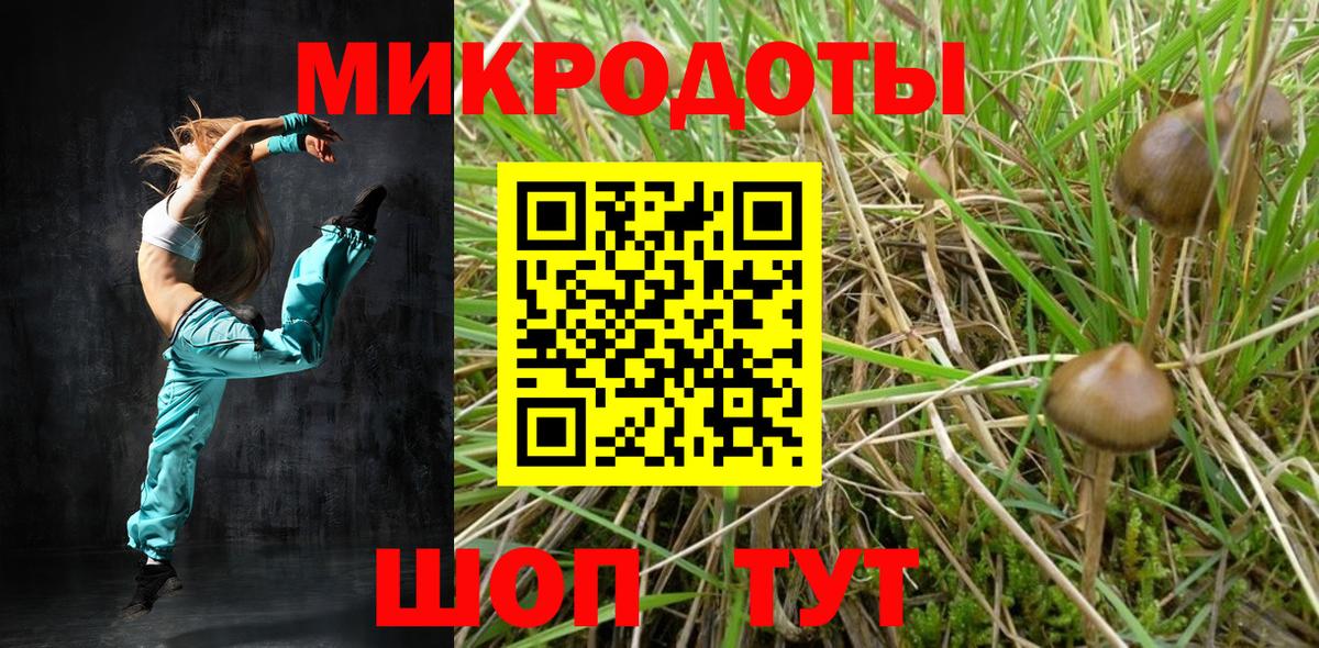 закладки  Вход с VPN  Анжеро-Судженск  Галлюциногенные грибы Magic Shrooms  Псилоцибиновые грибы ЛСД 