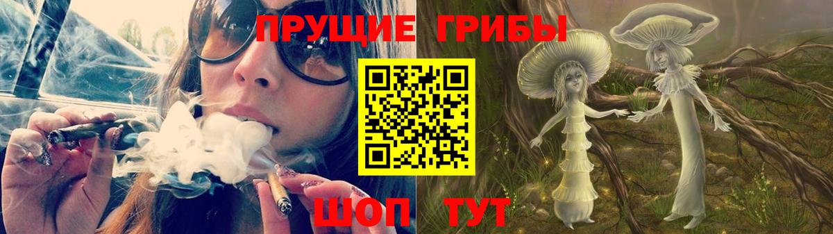 Галлюциногенные грибы GOLDEN TEACHER Анжеро-Судженск